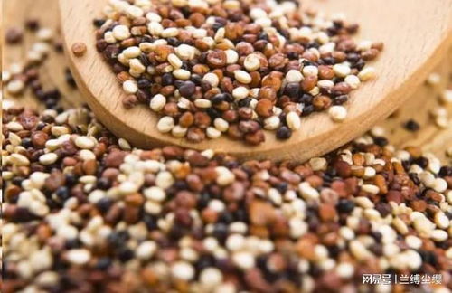 深秋養生指南 建議老人多吃6類種子食物，營養豐富又實惠，安度秋冬