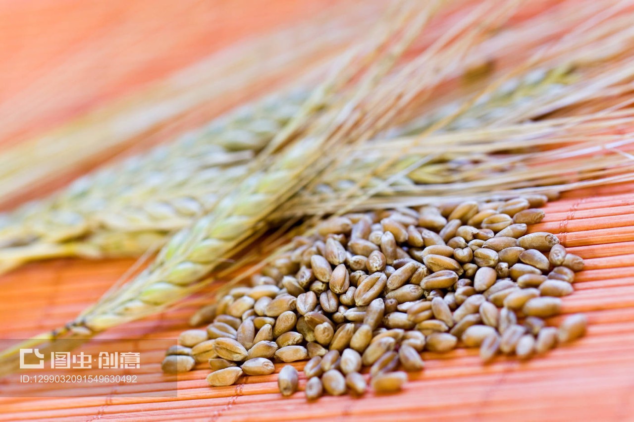 谷穗與棉鈴 農耕文明的瑰麗交響